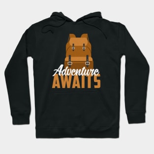 Adventure Awaits Hoodie